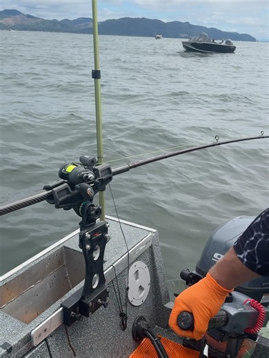 14K views · 643 reactions | Addicted Fishing on Reels | Facebook