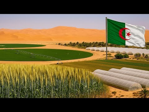 Comment l’Algérie transforme le désert en grenier de l'Afrique ?