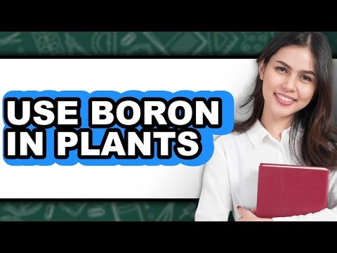 How to Use Boron in Plants (Full Guide)