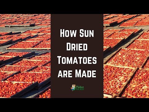 How Sun Dried Tomatoes are Made (in California)
