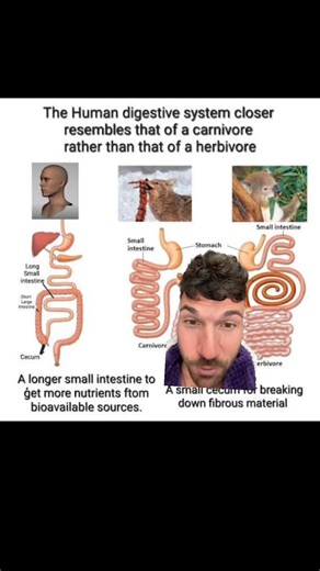 533K views · 12K reactions | The Hidden Truth About What Humans Are...