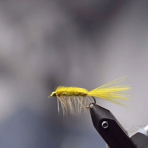 Cam ties a Rickard’s Stillwater Nymph….. #flytying #eastrosebud2024 #camties | East Rosebud Fly Shop