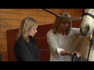 Identifying Hoof Flares in Horses