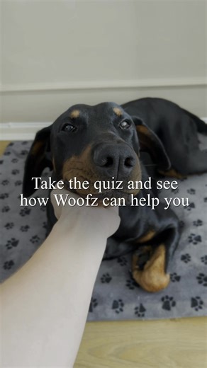 Start training your dog with the Best Dog Training App in the World!  | Dog Training & Tips | Facebook