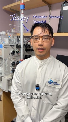 Antibody purification process