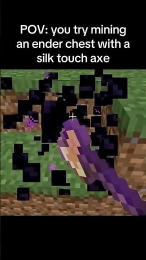 I Broke an Ender Chest with a Silk Touch Axe #minecraft