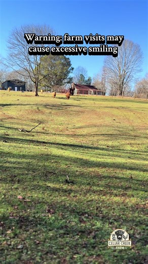Excessive Smiling Awaits at Our Farm Visits!