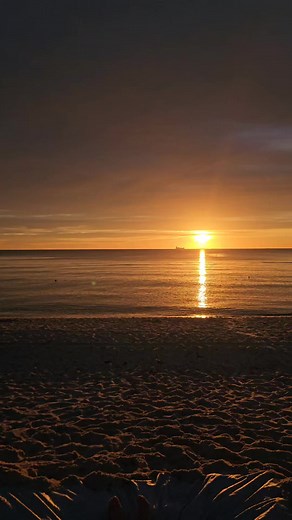 685K views · 11K reactions | Sunrise ice bath | Zlatan Ibrahimović | Facebook