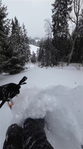 Fresh powder ❤️❄️ #skiing #ski #mountains #nature
