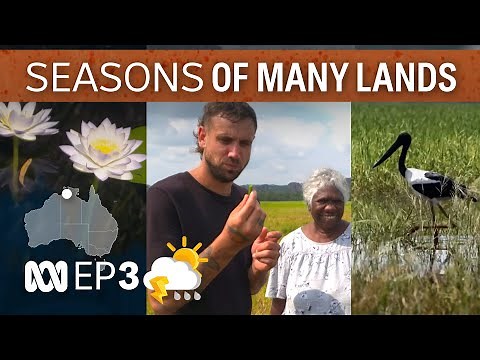 Gunbalanya [-O-] | Many Lands - Many Seasons | EP 3 | ABC Australia
