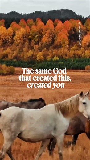 You Are Fearfully and Wonderfully Made