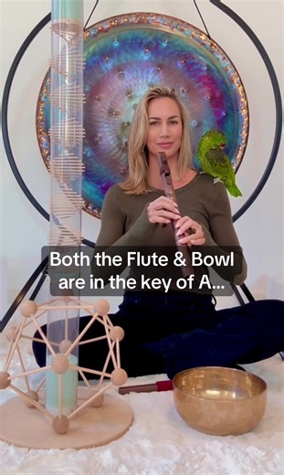 The Flute & Tibetan bowl are tuned to the key of A, which correlates to our 3rd eye chakra. Close your eyes, listen, & comment what happens.. ✨ 🌧️ Relax with the long-duration, spiral sounds Rainstick. 10% off your purchase with discount code: STEPHANIE at rainstickdreams.com (Link in bio) @rainstick_dreams 🪈 Are you interested in getting your 1st Native American Flute? Use Discount Code: STEPHANIE to receive 5% off at AMAflutes.com @amaflutes 🪈 This flute is in the key of A (3rd eye chakra),