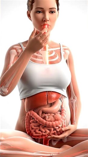 Inside Your Gut: 3D Animation of Red Tomato Digestion 🍅 | Healthy Digestive Process"