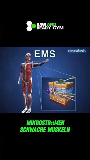 Ems Training /20minuten/muskelaufbau /rückenschmerzen/abnehmen/muskelerhalt/