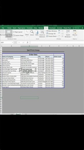 Excel Tip: Set Print Area in Seconds!