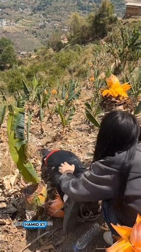 She slipped fell while going to eat.#foryou #funny #entertainment #usashorts