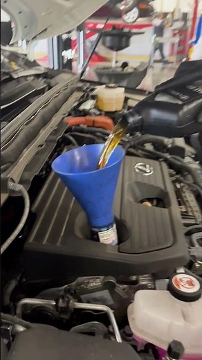 What Makes a Car Last | Lexus Service