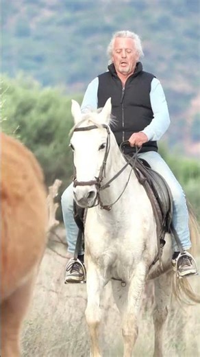 Spanish Ranch Life Horse, Cattle & Dogs in Motio