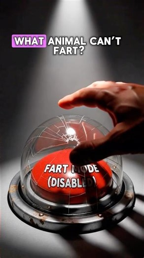Guess The Animal That Can't Fart - The Weird Truth #facts #weirdfacts