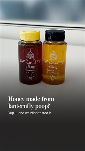 The invasion of the spotted lanternfly was impossible to miss this past summer in the Washington region. This fall, the insect’s impact on the area has shown up in a less obvious way: It’s changing the honey. https://wapo.st/44e3xBS | Washington Post