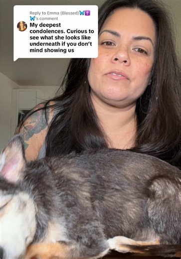 Understanding Dog Grief and Loss After Losing a Pet