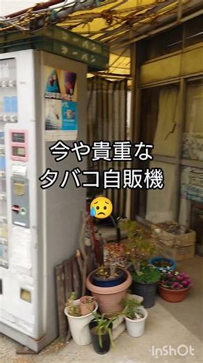 絶滅間近「タバコ自販機」を発見！
