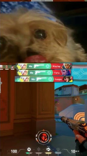 Canezerra's Speed Slaughters Lobbies! ⚡🎯