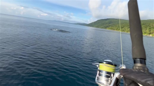 Big Game Fishing Adventures at Kei Island