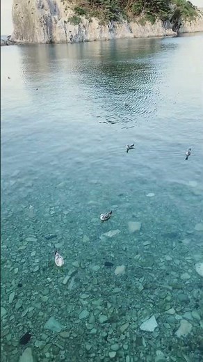 浄土ヶ浜