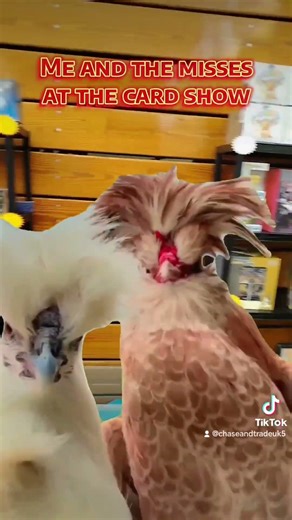 She's getting worse than me 🤣😅 Created a monster. #pokemontcg #pokemoncommunity #pokemon