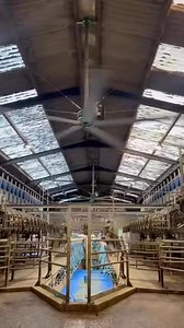 Grant Approved ✅ SILENT FANS 👌🏻 FETF276CA- High Volume Low Speed Ventilation Fan - receive up to £1812 off per fan 🙌😳Contact Owen to enquire about how we can improve your shed ventilation 01228 792906 | Aspatria Farmers
