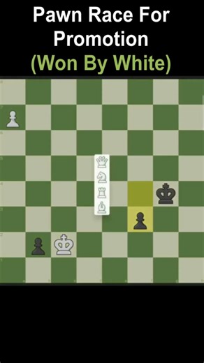 Pawn Race For Promotion - Endgame Drama | Puzzle 103 #shorts #youtubeshorts #viral