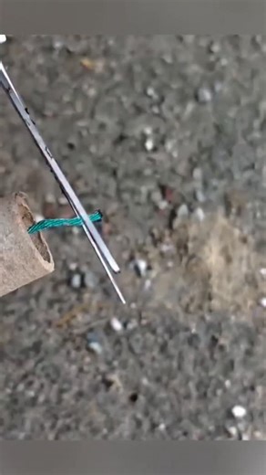 The igniters on Instagram: "The Igniters"