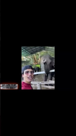 śmieszne wpadki shorts 101 #funny #śmiesznefilmy #śmiesznefilmy #wpadki #memes #zabawne #śmieszne