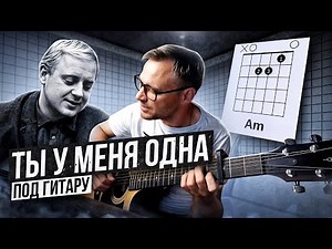 Ты у меня одна - Визбор 🎸 аккорды и кавер на гитаре