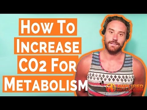 How To Increase CO2 For Metabolism