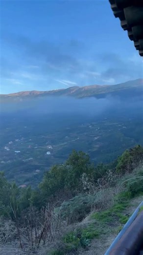 32K views · 863 reactions | El otoño en Canarias Givnish, T. J. (2002). Adaptive significance of evergreen vs. deciduous leaves: Solving the triple paradox. Silva Fennica, 36(3), 703–743. Liu, H., Kumar, S., Ma, Z., Yan, X., Xu, H., He, T., & Xu, C. (2023). The global biogeography of tree leaf form and habit. Nature Plants, 9(11), 1795–1809. | Biolo Marcos | Facebook