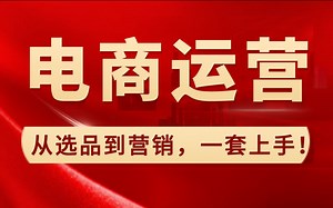 【电商运营速成版】这才是B站最详细的电商运营教程，零基础入门淘宝运营教程，新手开店，学完可创业