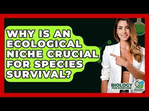 Why Is An Ecological Niche Crucial For Species Survival? - Biology For Everyone