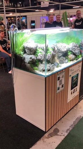 Vivarium 2025 - Aquaflora Live VIP contest short