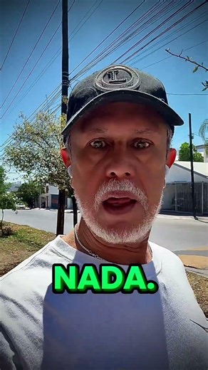 Falta un elemento en la cadena alimenticia hay muy pocos insectos #moto #bmw #rider #rider #biker