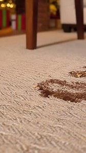 BREAKING: Santa is NOT house-trained. He slid down your chimney, stomped on the carpet, dropped cookie crumbs everywhere… and dipped. Don’t worry, Zerorez is the cleanup crew. 🎄 $33/room FREE hallway FREE Glittering Lights pass! | Zerorez Las Vegas