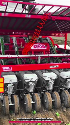 Vegetable Transplanter Machine 6000 Plants/hour Automatic Seedling Planting for Agriculture