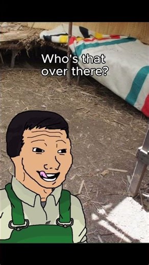 The Horror Story Of "Pony The Orangutan"