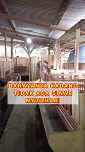 9.6K views · 133 reactions | Kandang kambing domba wajib terkena sinar matahari | Ternak Tani Jaya | Facebook
