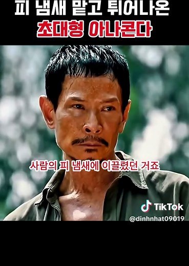 초대형 아나콘다, 피 냄새에 이끌리다