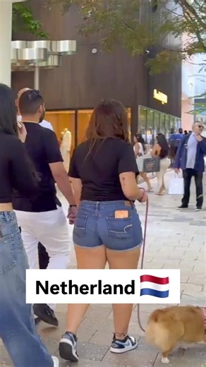 Exploring the Beauty of the Netherlands: Travel Highlights