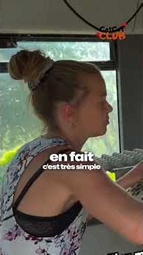 L’incroyable aménagement de ce bus transformé en poulailler mobile !