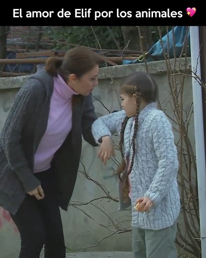 84K views · 2.8K reactions | El amor de Elif por los animales  | #Elif en Espanol 328 | Elif en Español | Facebook