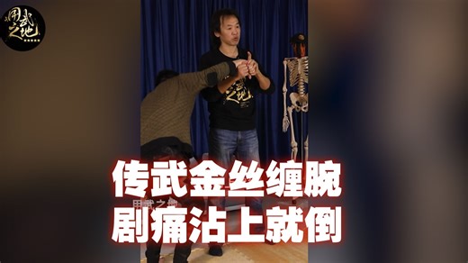 传武金丝缠腕剧痛沾上就倒！